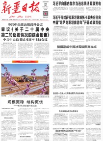 新疆日报(汉)